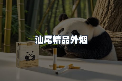 汕尾精品外烟